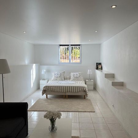 Apartament T3 Avec Jardin Et Piscine Privee Velaux Zewnętrze zdjęcie